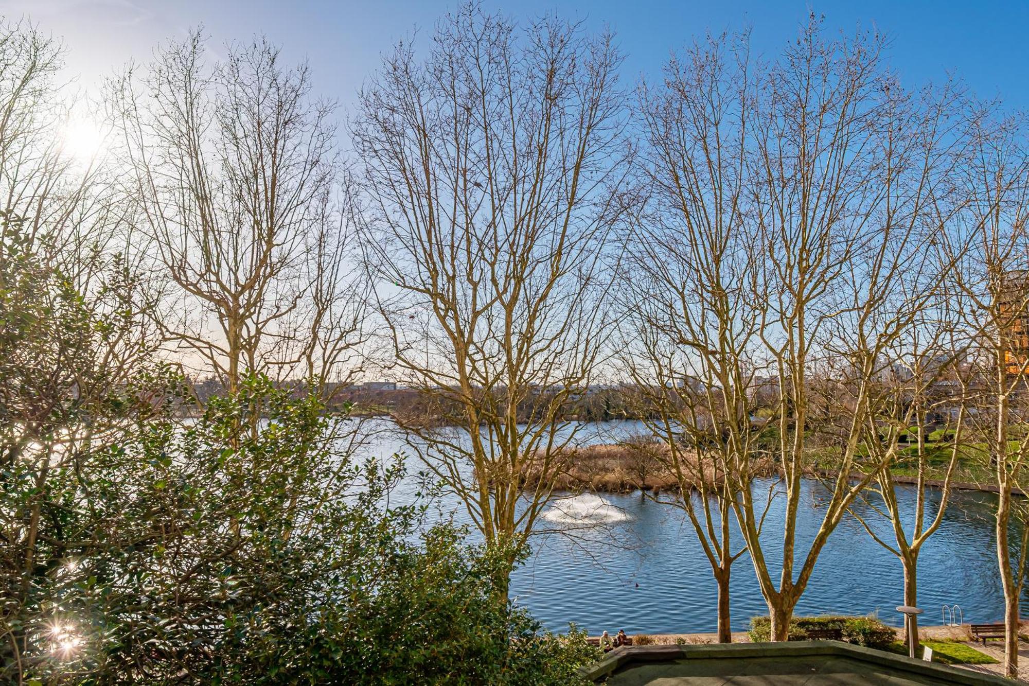 The Lake Aurora Suite - Duke Housing Créteil Dış mekan fotoğraf
